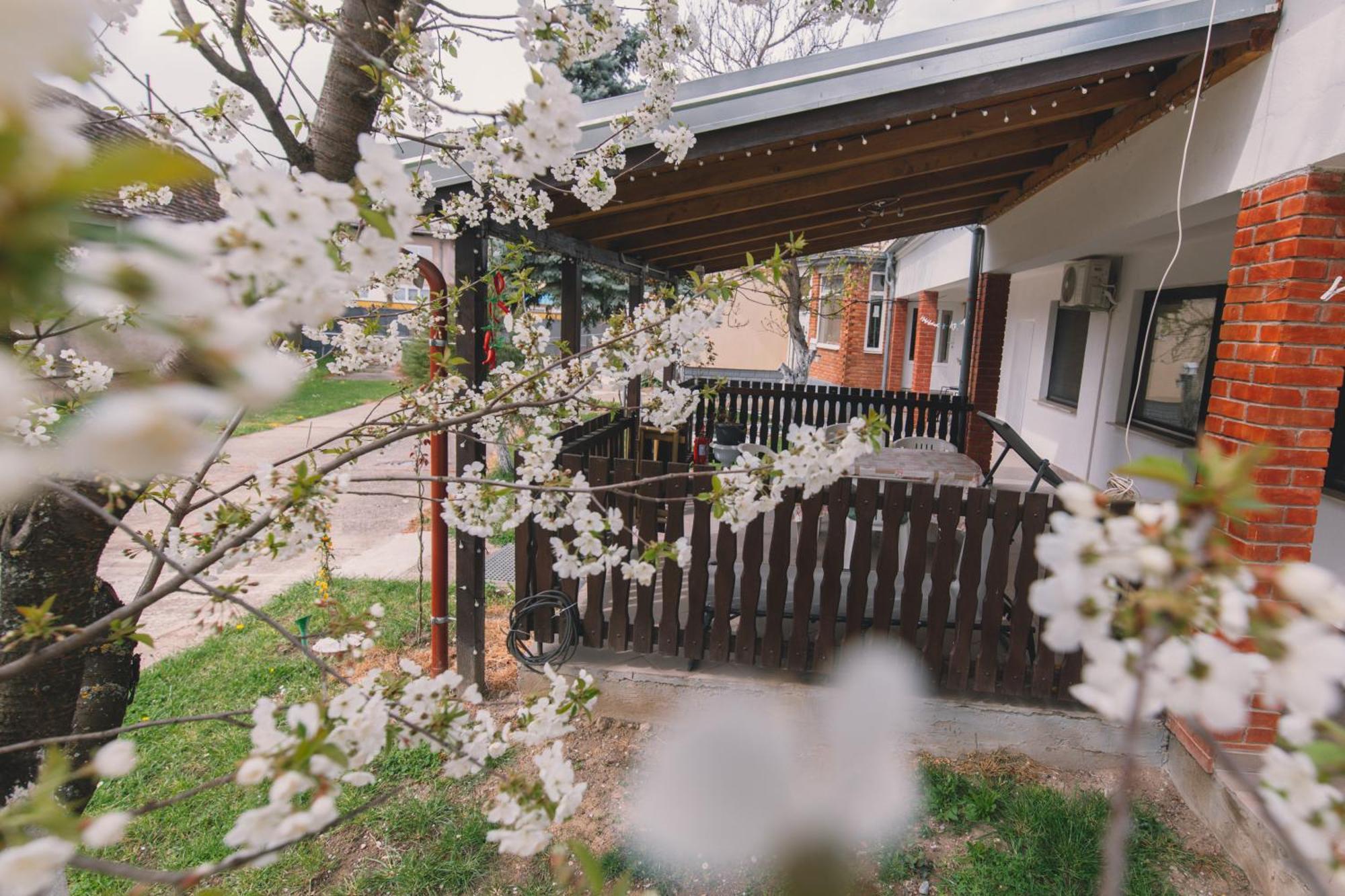 Apartman Marta I Soba Maja Gradiste Exteriér fotografie