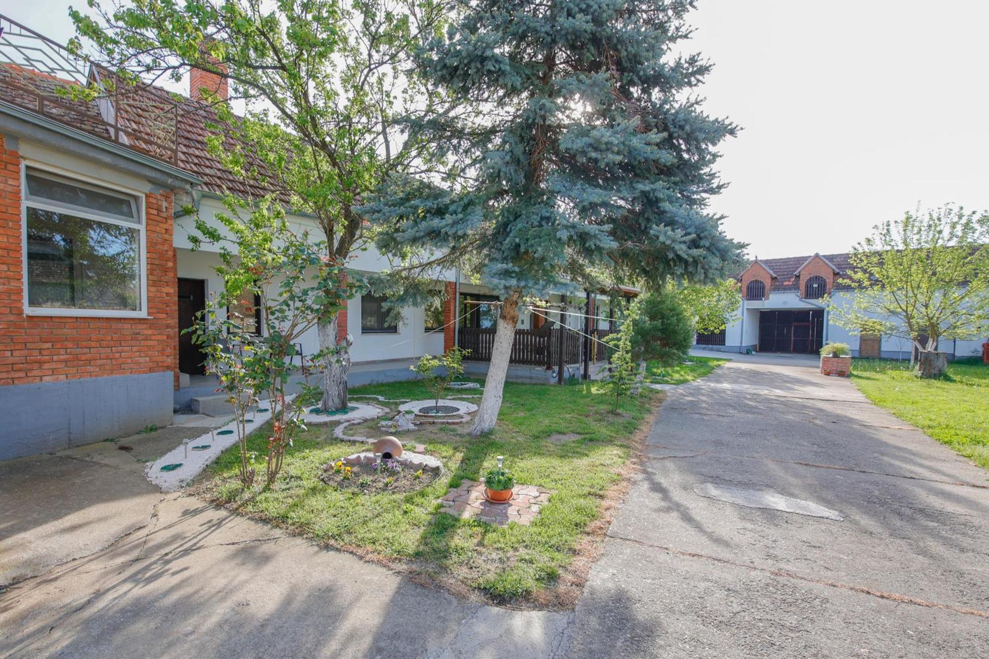 Apartman Marta I Soba Maja Gradiste Exteriér fotografie