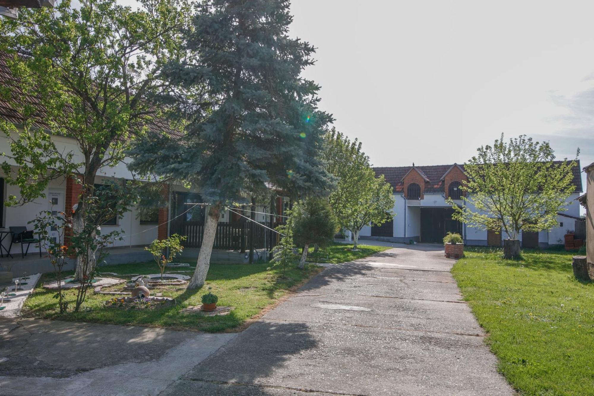 Apartman Marta I Soba Maja Gradiste Exteriér fotografie